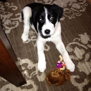 Meet your Posher, Christina